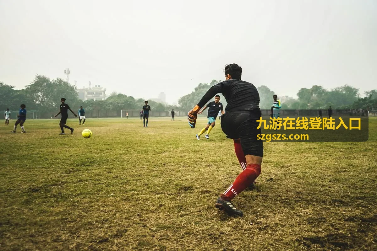 九游在线登陆入口网页端登录地址核对场景