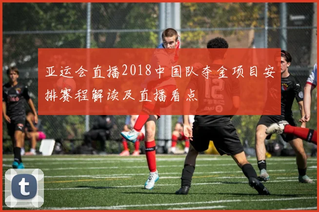 亚运会直播2018中国队夺金项目安排赛程解读及直播看点