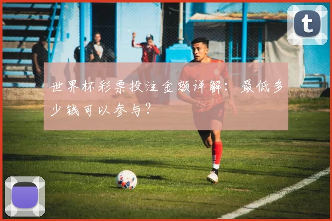 世界杯彩票投注金额详解：最低多少钱可以参与？
