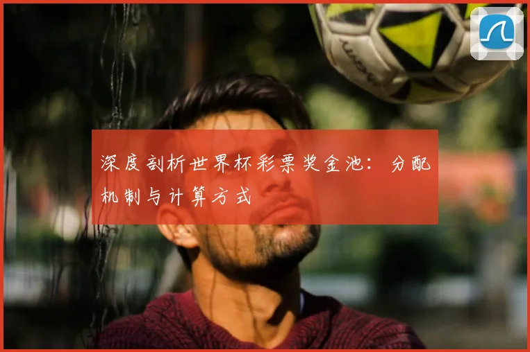 深度剖析世界杯彩票奖金池：分配机制与计算方式