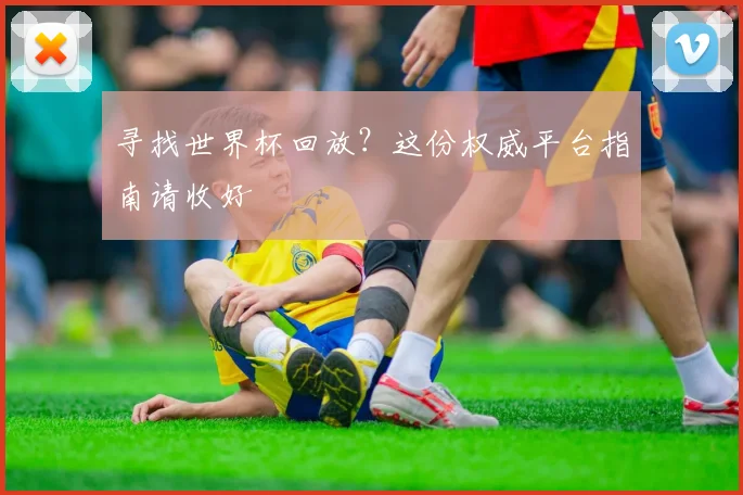 寻找世界杯回放？这份权威平台指南请收好