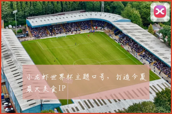 小龙虾世界杯主题口号，打造今夏最火美食IP